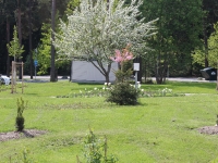 7 Innergården
