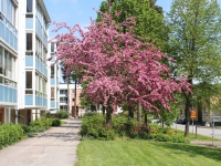 1 Foto vid huslänga 36-42